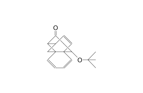 2-tert-Butyloxy-tetracyclo(4.4.4.0/1,6/.0/5,8/)tetradeca-9,11,13-trien-4-one