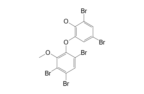 2-(3',5'-DIBROMO-2'-HYDROXYPHENOXY)-3,5,6-TRIBROMOANISOL