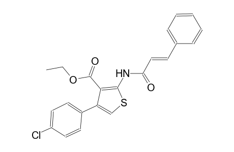 ethyl 4-(4-chlorophenyl)-2-{[(2E)-3-phenyl-2-propenoyl]amino}-3-thiophenecarboxylate