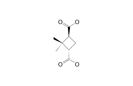 (1S,3S)-2,2-dimethylcyclobutane-1,3-dicarboxylic acid