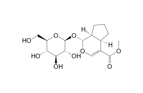 Cyclopenta[c]pyran-4-carboxylic acid, 1-(.beta.-D-glucopyranosyloxy)-1,4a,5,6,7,7a-hexahydro-, methyl ester, [1S-(1.alpha.,4a.alpha.,7a.alpha.)]-