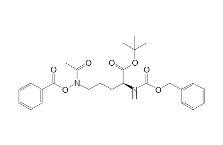 N5-Acetyl-N5-benzoyloxy-N2-benzyloxycarbonyl-L-ornithine tert-butyl ester