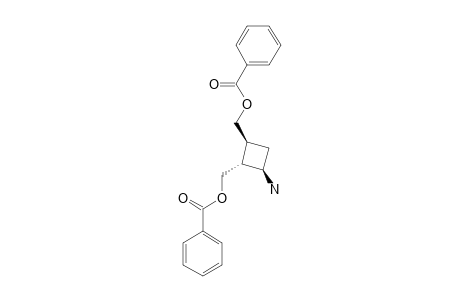(1-alpha,2-beta,3-alpha)-2,3-BIS-(BENZOYLOXY-METHYL)-CYCLOBUTYLAMINE