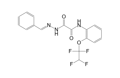 acetic acid, oxo[[2-(1,1,2,2-tetrafluoroethoxy)phenyl]amino]-, 2-[(E)-phenylmethylidene]hydrazide