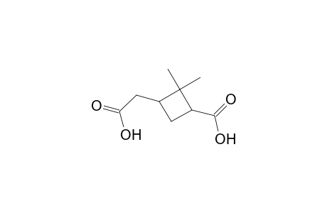 3-(carboxymethyl)-2,2-dimethyl-1-cyclobutanecarboxylic acid