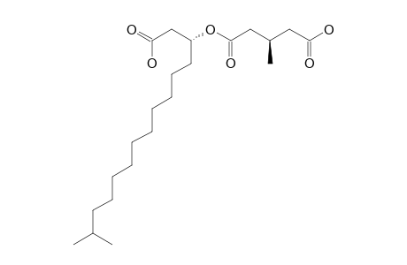 (3-S,3'-R)-3-(4'-CARBOXY-3'-METHYLBUTANOYLOXY)-14-METHYLPENTADECANOIC_ACID