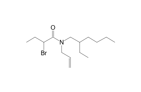 Butyramide, N-allyl-N-(2-ethylhexyl)-2-bromo-