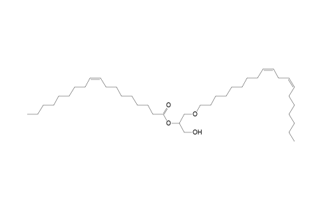 DG O-19:2_18:1