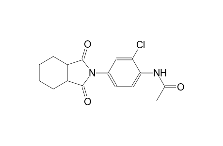 acetamide, N-[2-chloro-4-(octahydro-1,3-dioxo-2H-isoindol-2-yl)phenyl]-