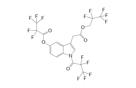 Pentafluoropropionyl-2,2,3,3,3-pentafluoropropyl ester derivative of 5-hydroxyindole-3-acetic acid