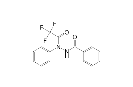 Benzoic acid, 2-phenyl-2-(trifluoroacetyl)hydrazide
