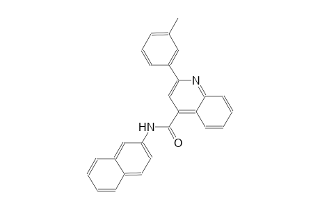 2-(3-methylphenyl)-N-(2-naphthyl)-4-quinolinecarboxamide