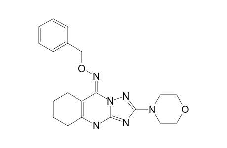 (E)-BENZYLOXIMINO-2-MORPHOLINO-6,7,8,9-TETRAHYDRO-(10)-[1,2,4]-TRIAZOLO-[5,1-B]-QUINAZOLINE