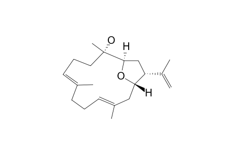 LOBOPHYLIN-B