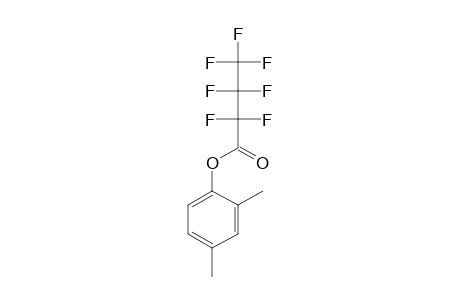 2,4-Dimethylphenyl heptafluorobutyrate