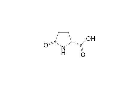 D-Pyroglutamic acid