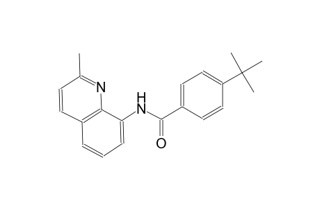4-tert-butyl-N-(2-methyl-8-quinolinyl)benzamide
