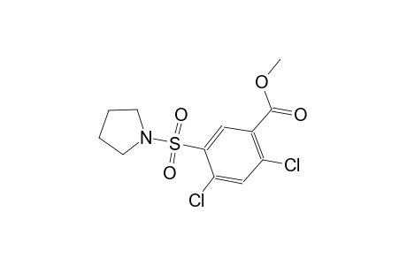 methyl 2,4-dichloro-5-(1-pyrrolidinylsulfonyl)benzoate