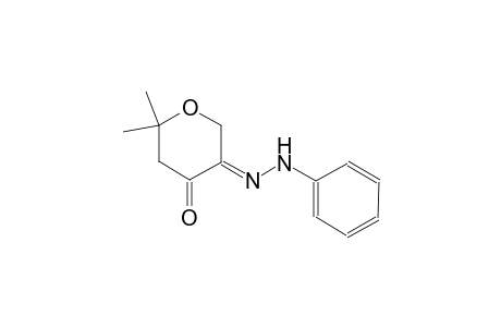 (3E)-6,6-dimethyldihydro-2H-pyran-3,4-dione 3-(phenylhydrazone)