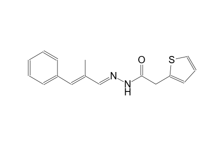 2-thiopheneacetic acid, 2-[(E,2E)-2-methyl-3-phenyl-2-propenylidene]hydrazide