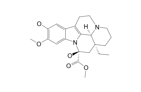 10-HYDROXY-11-METHOXY-VINCAMINE