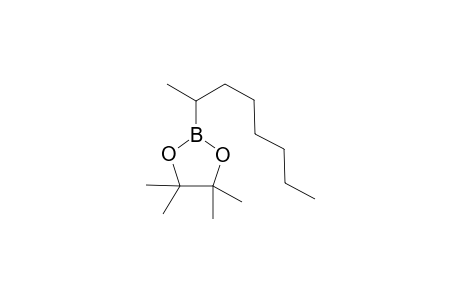 4,4,5,5-tetramethyl-2-(octan-2-yl)-1,3,2-dioxaborolane