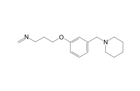 Roxatidine HY formyl artifact