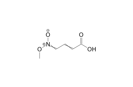 4-(O-Methyl-aci-nitro)crotonic acid