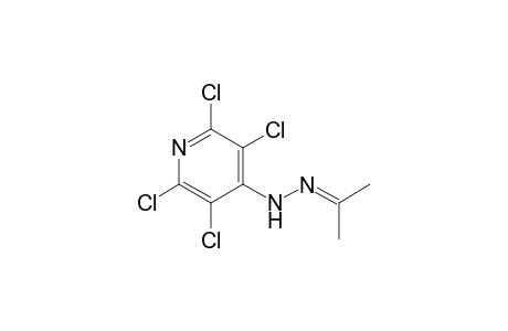 2-Propanone, (2,3,5,6-tetrachloro-4-pyridinyl)hydrazone