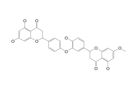 7-O-Methyl-tetrahydroochnaflavone