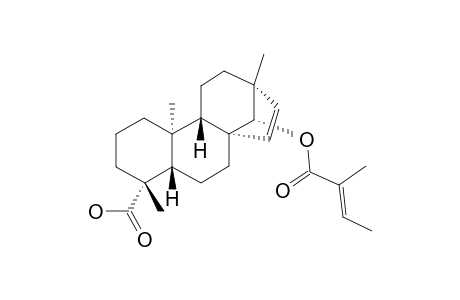 ENT-14-BETA-ANGELOYLOXYBEYER-15-EN-19-OIC-ACID