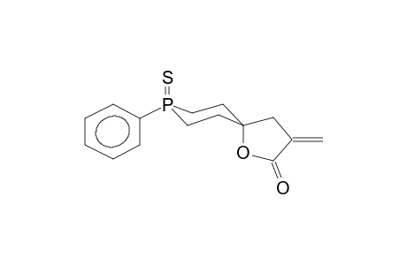 3-METHYLENE-8-PHENYL-8-THIOXO-1-OXA-8-PHOSPHASPIRO[4.5]DECAN-2-ONE