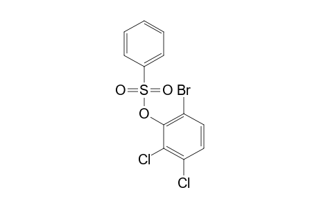 BENZENESULFONIC ACID, 6-BROMO-2,3-DICHLOROPHENYL ESTER