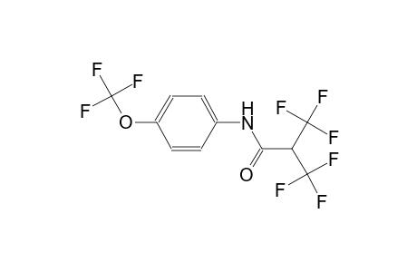 3,3,3-Trifluoro-N-(4-trifluoromethoxy-phenyl)-2-trifluoromethyl-propionamide