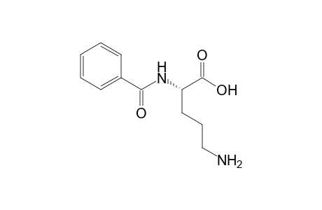 N-α-Benzoyl-L-ornithine