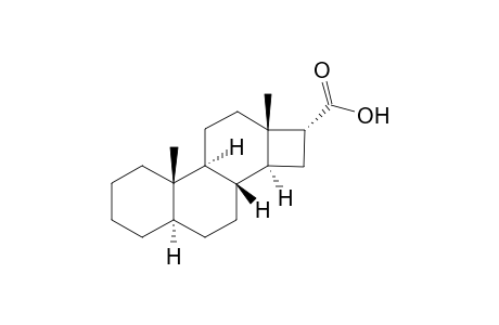 Cyclobuta[a]phenanthrene, D-norandrostane-16-carboxylic acid deriv.
