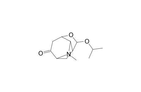 6-exo-(1-Methylethoxy)-9-methyl-5-oxa-9-azatricyclo[5.2.1.0(4,8)]decan-2-one