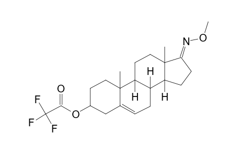 Trans-dehydroandrosterone, trifluoroacetate, o-methyloxime