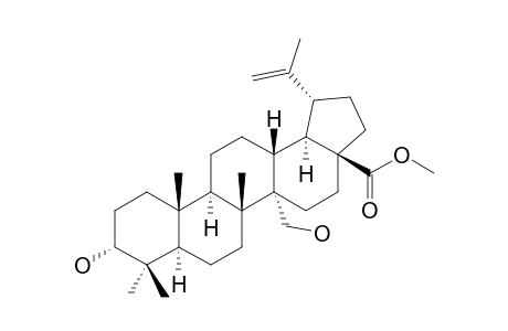 3-ALPHA,27-DIHYDROXY-LUP-20-(29)-EN-28-OIC-ACID-METHYLESTER