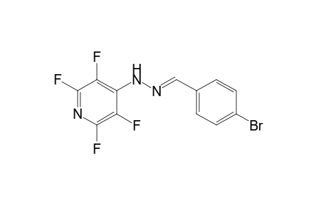 Hydrazine, N-(4-bromobenzylidene)-N'-(2,3,5,6-tetrafluoropyridin-4-yl)-