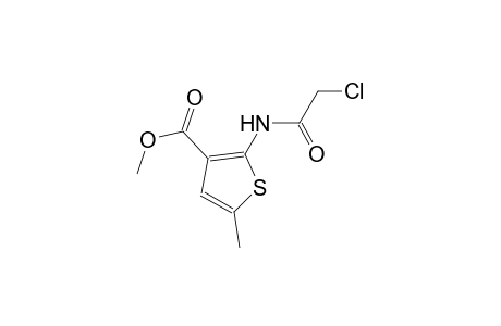 methyl 2-[(chloroacetyl)amino]-5-methyl-3-thiophenecarboxylate