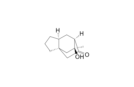 (1S*,5S*,7R*,11S*)-11-Hydroxy-11-methyltricyclo[5.2.2.0(1,5)]undecan-8-one