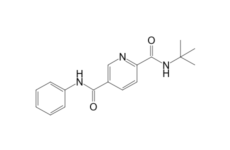 N(2)-[1',1'-Dimethylethyl]-N(5)-phenyl-2,5-pyridinedicarboxamide
