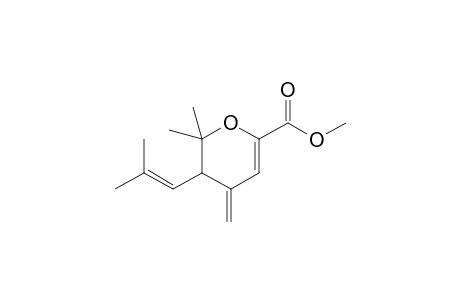 4-Methylene-5-(2-methyl-1-propenyl)-6,6-dimethyl-5,6-dihydro-1,4-pyran-2-carboxylic acid methyl ester