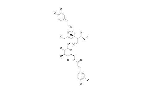 FRAXICARBOSIDE-B;6''-O-TRANS-CAFFEOYL-10-HYDROXYOLEUROPEIN
