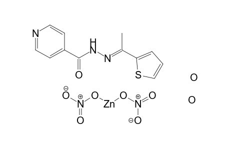 (nitrooxy)zincio nitrate N'-[(1E)-1-(thiophen-2-yl)ethylidene]pyridine-4-carbohydrazide dihydrate