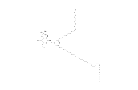 SMGDG O-28:2_19:1