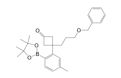 3-(3-BENZYLOXYPROPYL)-3-[5-METHYL-2-(4,4,5,5-TETRAMETHYL-1,3,2-DIOXABOROLAN-2-YL)-PHENYL]-CYCLOBUTANONE