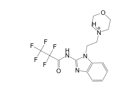 4-(2-{2-[(2,2,3,3,3-pentafluoropropanoyl)amino]-1H-benzimidazol-1-yl}ethyl)morpholin-4-ium