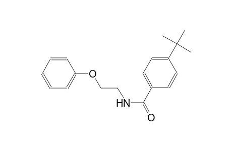 benzamide, 4-(1,1-dimethylethyl)-N-(2-phenoxyethyl)-
